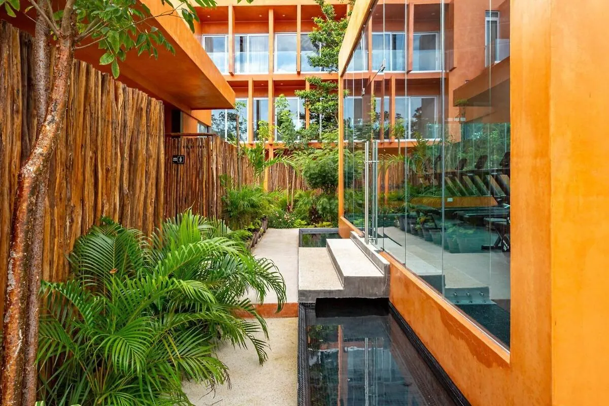 New Lux 3 Bed Gym & Pool At Tulum 101 Apartment